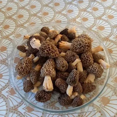 Le De Sabine Et Patrick Horská chata